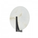 Asteria Wall Sconce (86|418-11-BBR)