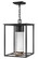 Medium Hanging Pendant (87|17022BK-LL)