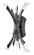 Medium Two Light Sconce (88|FR40902BGR)