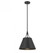 Willis 1-Light Pendant in Matte Black (128|7-4499-1-89)