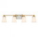 Darby 4-Light Bathroom Vanity Light in Warm Brass (128|8-6901-4-322)