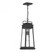 Boone 1-Light Outdoor Hanging Lantern in Matte Black (128|5-816-BK)