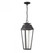 Brookline LED Outdoor Dark Sky Hanging Lantern in Matte Black (128|5-357-BK)