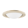 ZION Flush Mount (52|C8916-PBR)
