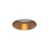 AETHER ATOMIC RND DOWNLIGHT TRIMLESS (1357|R1ARDL-GL)
