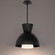 CARAFE 16IN PENDANT 3000K (1357|PD-23316-BK)