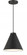 1 LIGHT, HANGING CONICAL FIXTURE (10|6201-66A)