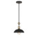 Biloxi - 24'' 1 Light Pendant (10|1996-862)