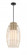 Watermill by Robin Baron - 1 Light Pendant (10|1104-66A)