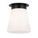 Flush Mount 1Lt (2|52585BK)
