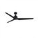 TriAire Custom Indoor/Outdoor Marine Grade Smart Ceiling Fan DC Motor- Black (90|MAD8515BLM)