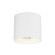 Stout-Flush Mount (19|86212WT)