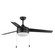 Trio-Indoor Ceiling Fan (19|89906FTBKWN)