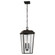 Outdoor Pendant 2Lt (2|59122OZ)
