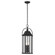 Harbor Row 25.75'' 4-Light Outdoor Hanging Light with Clear Seeded Glass in Textured Black (2|49718BKT)