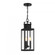Ascott 3-Light Outdoor Hanging Lantern in Matte Black (128|5-827-BK)