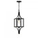Raeburn 1-Light Outdoor Hanging Lantern in Matte Black and Weathered Brushed Brass (128|5-475-144)