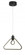 Edison's Outline - 1 Light LED Pendant (77|P1905-66A-L)