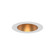 AETHER ATOMIC RND DOWNLIGHT TRIMMED (1357|R1ARDT-GLWT)