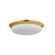 NORTH CASTLE FLUSH MOUNT (57|3114-AGB)