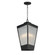 Triform-Outdoor Pendant (19|30766CRBKAB)
