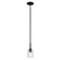 Mini Pendant 1Lt (2|43674BKCLR)
