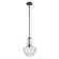 Everly 15.25'' 1-Light Bell Pendant with Clear Seeded Glass in Black (2|42141BKCS)