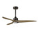 Woodwind-Indoor Ceiling Fan (19|88831CHL)