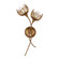 Protea 2-Light Wall Sconce in Manchester by Breegan Jane (128|9-6913-2-329)