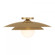 Sherrer 1-Light Ceiling Light in Warm Brass (128|6-5564-1-322)