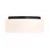 Edgemont 4-Light Ceiling Light in Matte Black (128|6-4187-4-89)