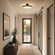 Thayer 1-Light LED Ceiling Light in Matte Black (128|6-2969-1-89)