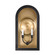 Grotto 2-Light Outdoor Wall Lantern in Matte Black with Vintage Gold (128|5-412-331)