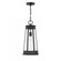 Payne 1-Light Outdoor Hanging Lantern in Matte Black (128|5-208-BK)