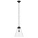 Pendant Large 1Lt (2|52662BKCLR)