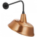 Academy 20'' Rex Barn Light (279|TOB 2809MBK/S4-SC)