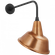 Academy 20'' Rex Barn Light (279|TOB 2809MBK/S3-SC)