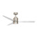 Falcon - Wet-Indoor Ceiling Fan (19|88717SN)