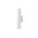 Caldera-Outdoor Wall Mount (19|86223WT)