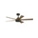 TorchAire 52 inch Indoor/Outdoor Smart Ceiling Fan with LED CCT Select Light Kit (90|FPD8570DZ)
