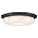 Medium LED Flush Mount (87|47601BK)