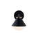 Ravelle Small Outdoor Wall Sconce (254|FSN-7681W-OPAL-MBBR)