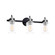 Brooklyn 3-Light Bath Bar (254|FSN-8193-CLER-MBNK)