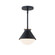 Ravelle Small Outdoor Pendant (254|FSN-7685W-OPAL-MBBR)