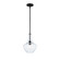 Harlow 9.5'' 1-Light Pendant (254|FSN-4178-SEED-MBLK)