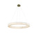 Medley 42'' LED Ring Pendant (254|FAL-8226-BRSS)