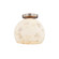 Globe Medium Semi-Flush (254|ALR-6353-BRSS)