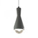 Erlen 1-Light Pendant (254|CER-6520-PWGN-MBLK-WTCD)