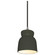 Large Hourglass LED Pendant (254|CER-6515-PWGN-NCKL-BKCD-LED1-700)