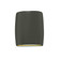 Small Wide ADA Outdoor LED Cylinder - Open Top & Bottom (254|CER-8857W-PWGN)